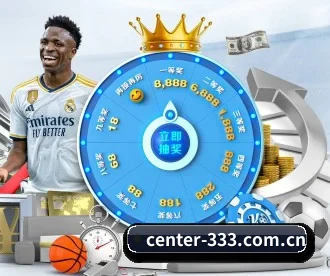 333体育 APP 深度功能
